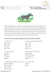 Reading comprehension - I am a zebra