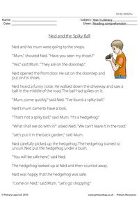 Reading comprehension - Ned and the Spiky Ball