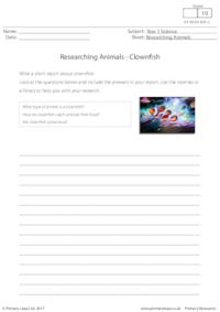 Researching Animals - Clownfish 