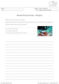 Researching Animals - Stingray 