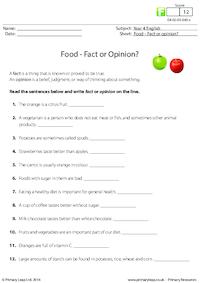Food - Fact or Opinion?
