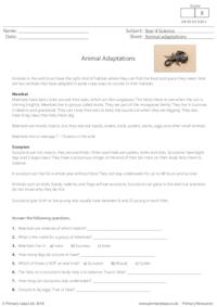 Animal Adaptations 2
