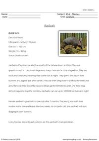Aardvark comprehension