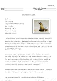 California sea lion comprehension