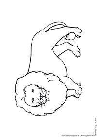 Lion colouring page 2