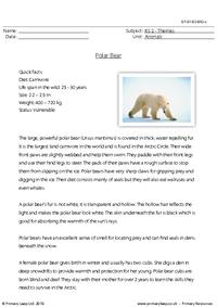 Polar bear comprehension