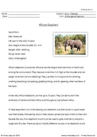 Elephant comprehension