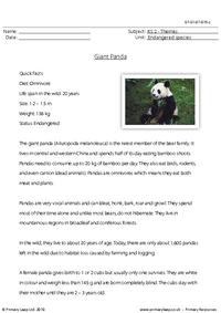 Giant panda comprehension
