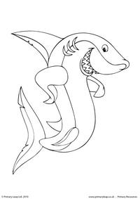 Great white shark colouring page