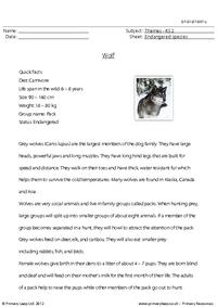 Reading comprehension - Wolf