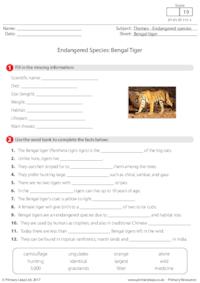 Endangered Species - Bengal Tiger