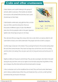 Crabs and other crustaceans - Comprehension