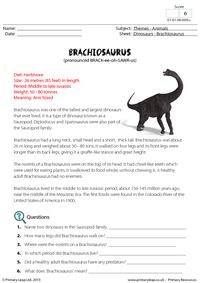Fact Sheet - Brachiosaurus