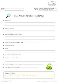 Research Activity - Snake