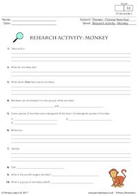 Research Activity - Monkey