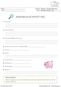 Research Activity - Pig