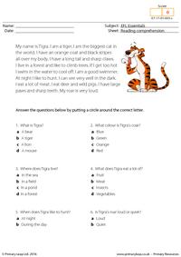 EFL Comprehension - Tigra the Tiger